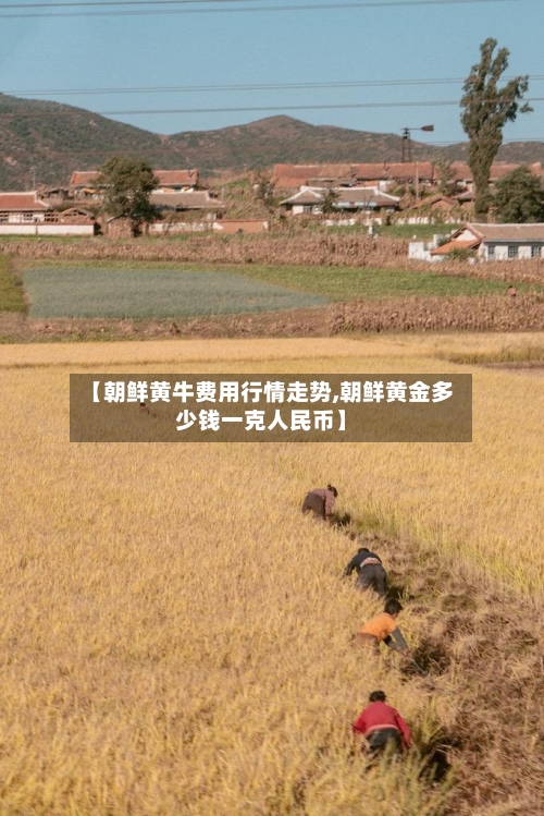 【朝鲜黄牛费用行情走势,朝鲜黄金多少钱一克人民币】