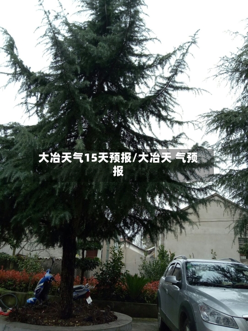 大冶天气15天预报/大冶天 气预报