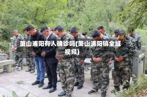 萧山浦阳有人确诊吗(萧山浦阳镇全域视频)