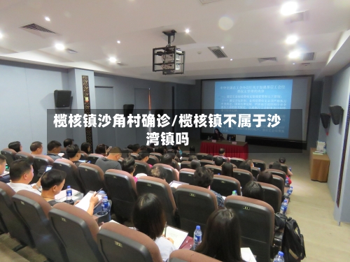 榄核镇沙角村确诊/榄核镇不属于沙湾镇吗