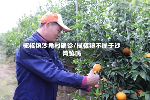 榄核镇沙角村确诊/榄核镇不属于沙湾镇吗