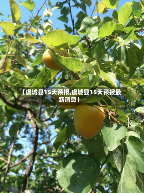 【虞城县15天预报,虞城县15天预报最新消息】