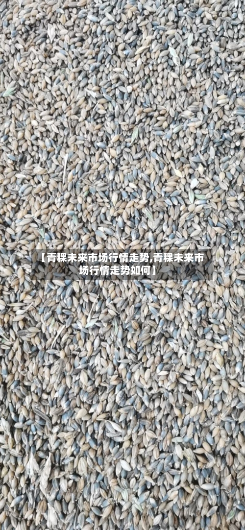 【青稞未来市场行情走势,青稞未来市场行情走势如何】