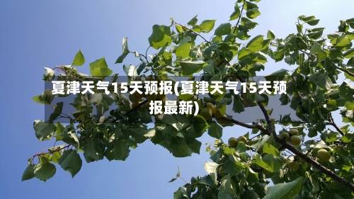 夏津天气15天预报(夏津天气15天预报最新)