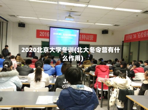 2020北京大学冬训(北大冬令营有什么作用)