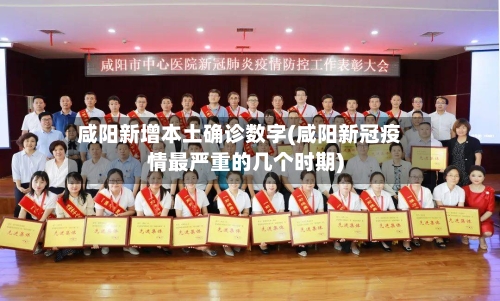 咸阳新增本土确诊数字(咸阳新冠疫情最严重的几个时期)