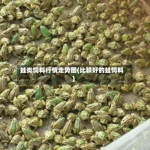 蛙类饲料行情走势图(比较好的蛙饲料)