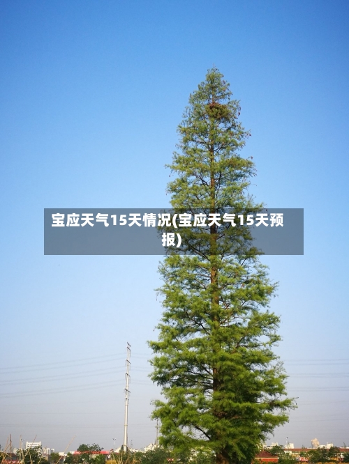宝应天气15天情况(宝应天气15天预报)