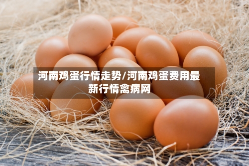 河南鸡蛋行情走势/河南鸡蛋费用最新行情禽病网