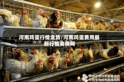 河南鸡蛋行情走势/河南鸡蛋费用最新行情禽病网