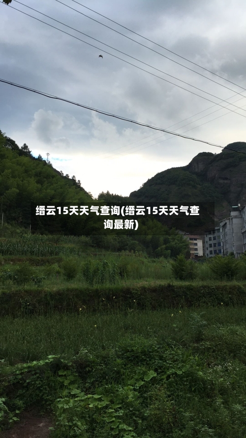 缙云15天天气查询(缙云15天天气查询最新)