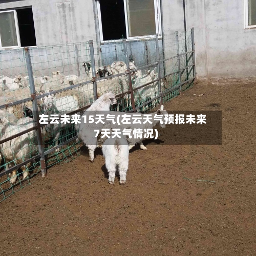 左云未来15天气(左云天气预报未来7天天气情况)