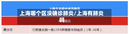 上海哪个区没确诊肺炎/上海有肺炎吗