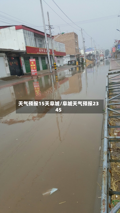 天气预报15天阜城/阜城天气预报2345