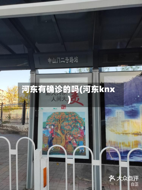 河东有确诊的吗(河东knx)