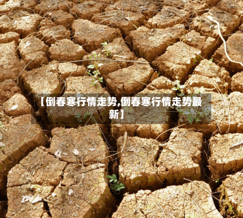 【倒春寒行情走势,倒春寒行情走势最新】