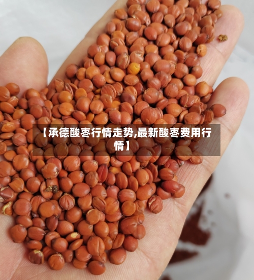 【承德酸枣行情走势,最新酸枣费用行情】