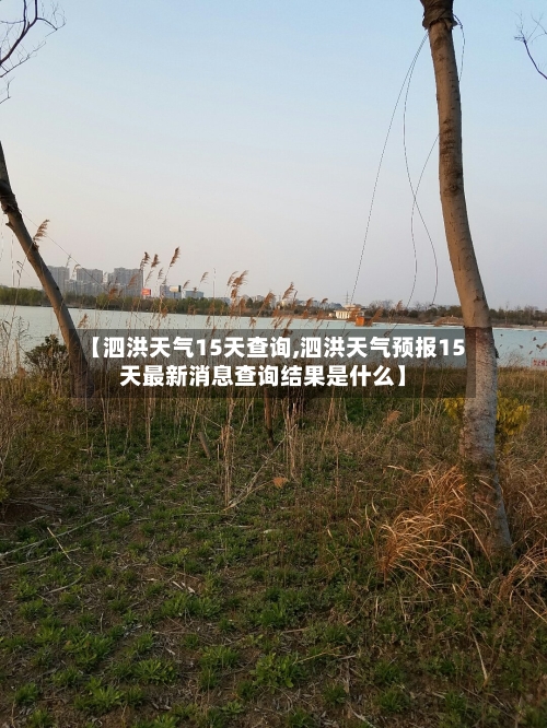 【泗洪天气15天查询,泗洪天气预报15天最新消息查询结果是什么】