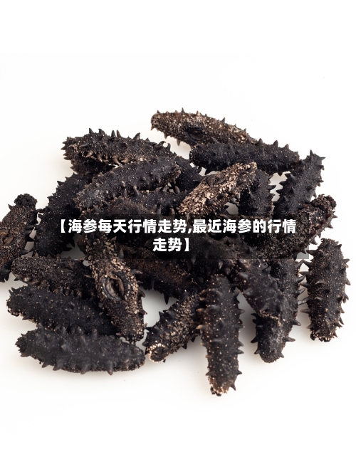 【海参每天行情走势,最近海参的行情走势】