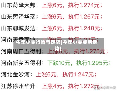 今年小麦行情与走势(今年小麦费用走势)