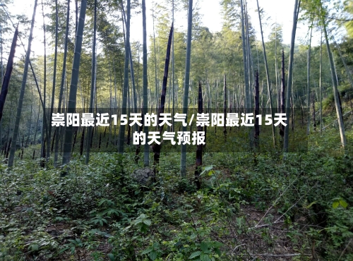 崇阳最近15天的天气/崇阳最近15天的天气预报