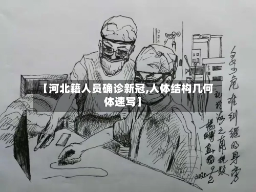 【河北籍人员确诊新冠,人体结构几何体速写】