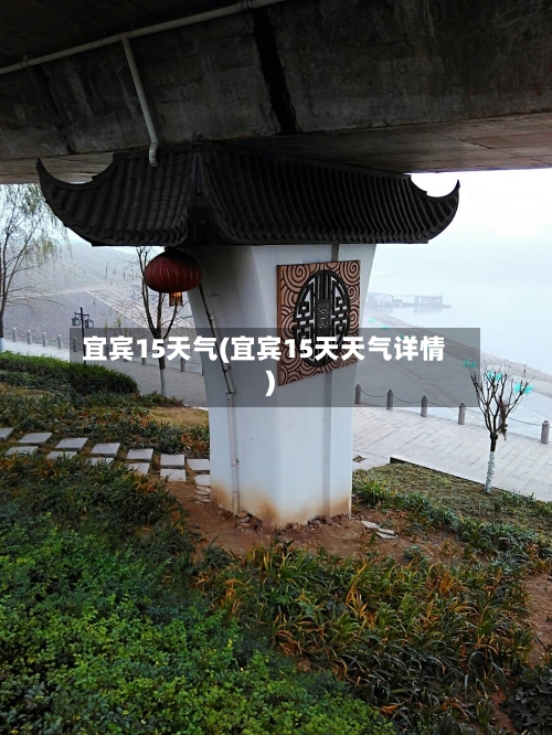 宜宾15天气(宜宾15天天气详情)