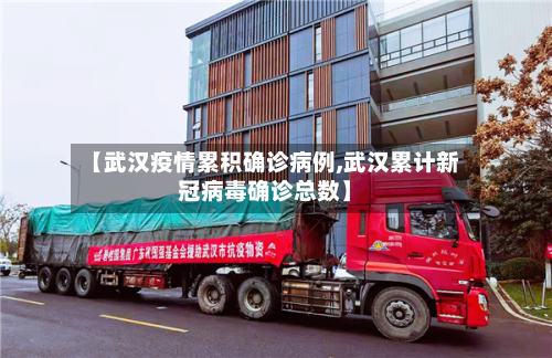 【武汉疫情累积确诊病例,武汉累计新冠病毒确诊总数】