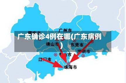 广东确诊4例在哪(广东病例)
