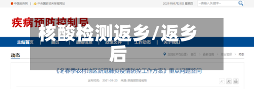 核酸检测返乡/返乡后