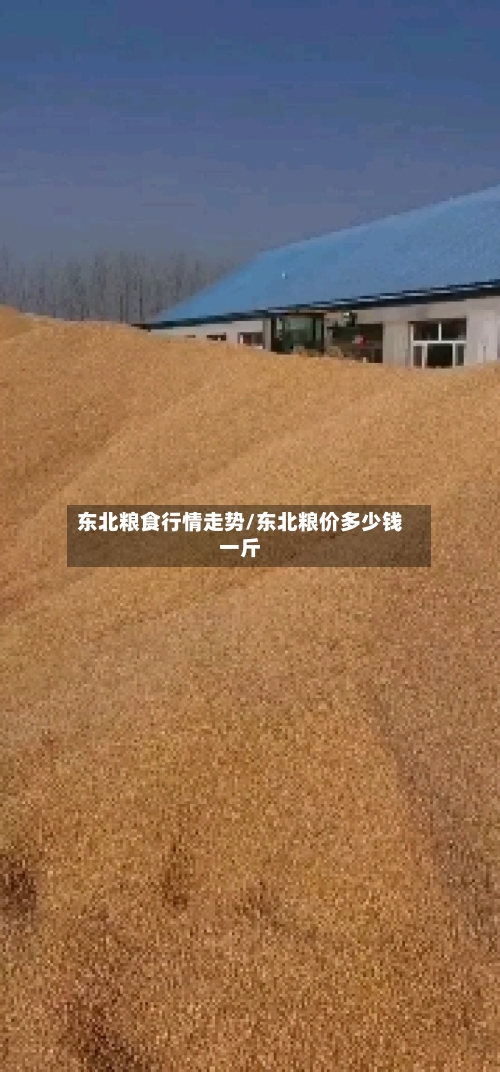 东北粮食行情走势/东北粮价多少钱一斤
