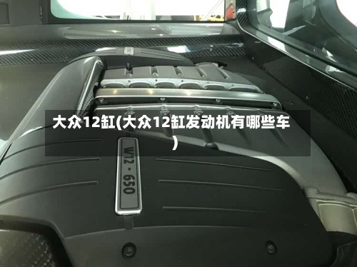 大众12缸(大众12缸发动机有哪些车)