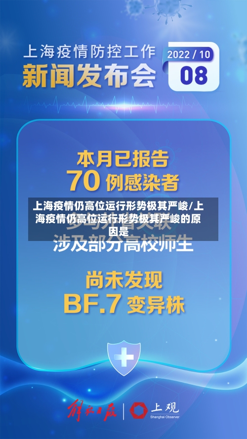 上海疫情仍高位运行形势极其严峻/上海疫情仍高位运行形势极其严峻的原因是