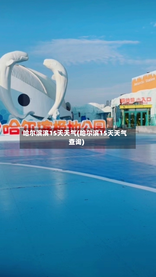 哈尔滨滨15天天气(哈尔滨15天天气查询)