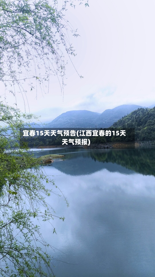 宜春15天天气预告(江西宜春的15天天气预报)