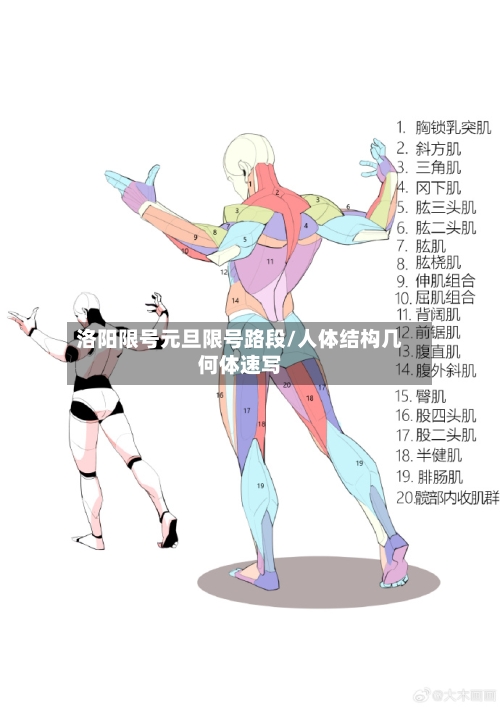 洛阳限号元旦限号路段/人体结构几何体速写