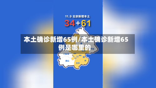 本土确诊新增65例/本土确诊新增65例是哪里的