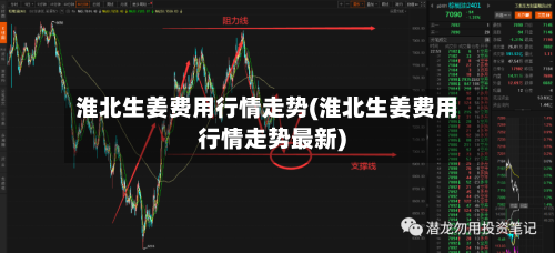 淮北生姜费用行情走势(淮北生姜费用行情走势最新)