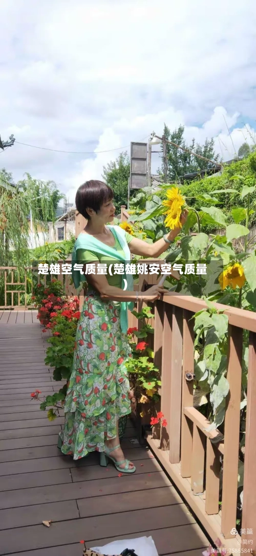 楚雄空气质量(楚雄姚安空气质量)