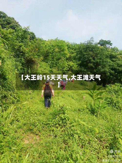 【大王岭15天天气,大王滩天气】