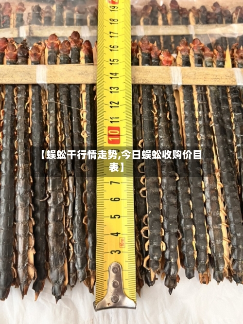 【蜈蚣干行情走势,今日蜈蚣收购价目表】