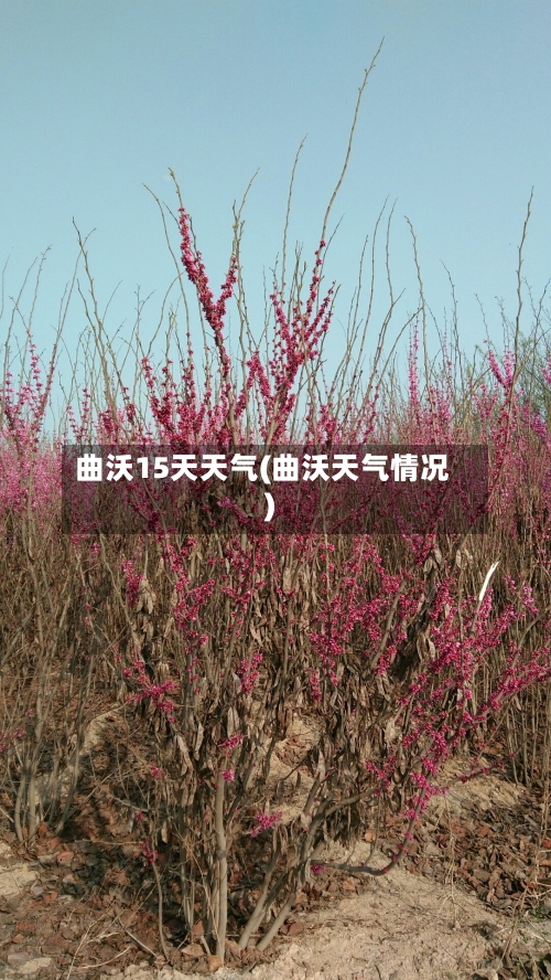 曲沃15天天气(曲沃天气情况)
