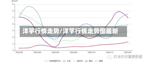 洋芋行情走势/洋芋行情走势图最新