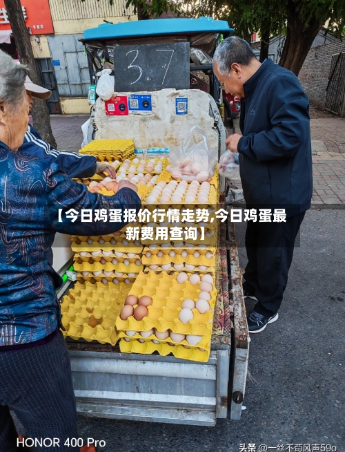 【今日鸡蛋报价行情走势,今日鸡蛋最新费用查询】