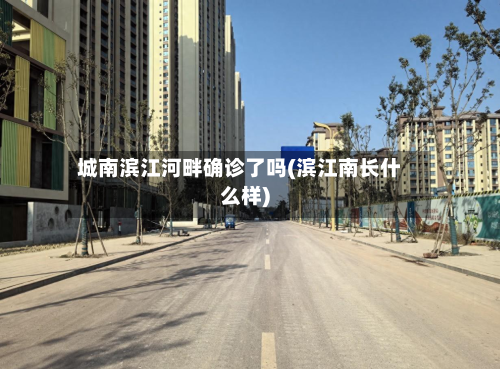 城南滨江河畔确诊了吗(滨江南长什么样)