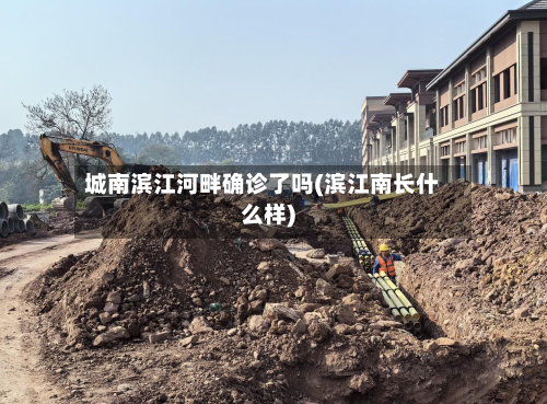 城南滨江河畔确诊了吗(滨江南长什么样)