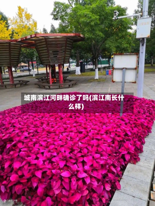 城南滨江河畔确诊了吗(滨江南长什么样)