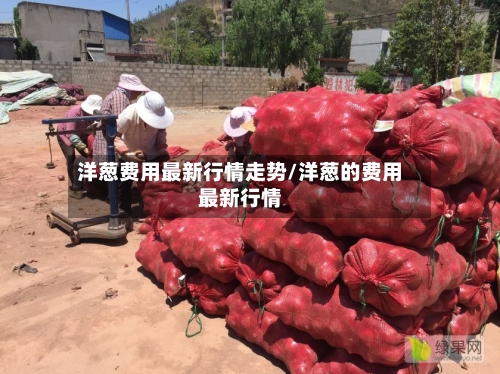 洋葱费用最新行情走势/洋葱的费用最新行情