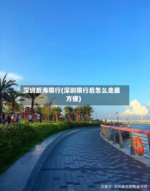 深圳后海限行(深圳限行后怎么走最方便)