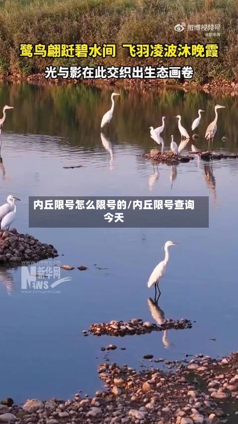 内丘限号怎么限号的/内丘限号查询今天